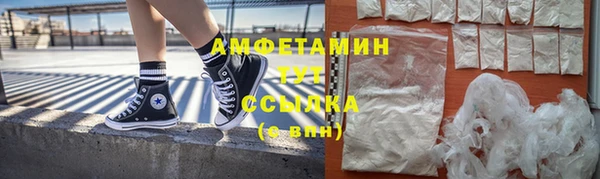 гидра Бородино