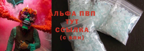 гидра Бородино