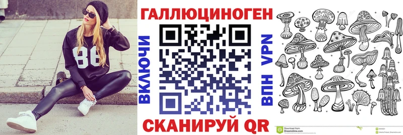 Псилоцибиновые грибы Psilocybine cubensis  Тверь 